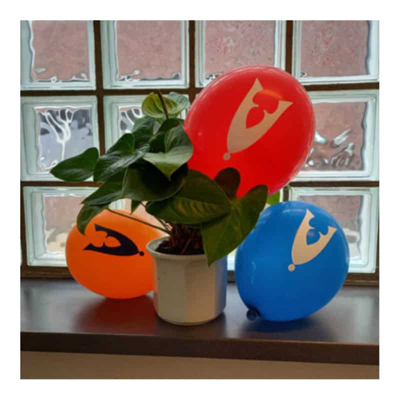 Ballonnen Draaginsigne sfeerfoto