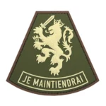 Patch 3D PVC Je Maintiendrai groen